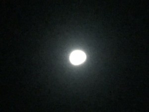 月食２